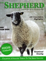 Shepherd Magazine