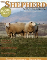 Shepherd Magazine