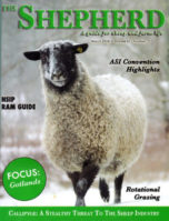 Gotlands in Shepherd Magazine