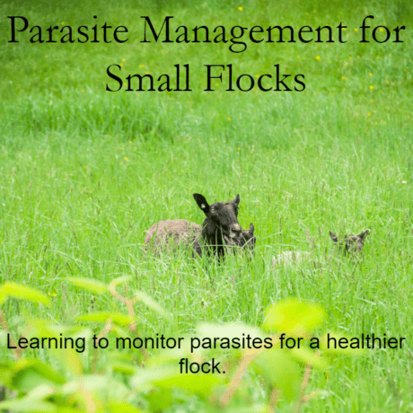 Parasite Management Ebook sm