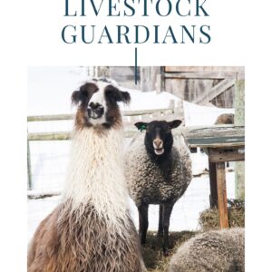 Livestock Guardian Animals