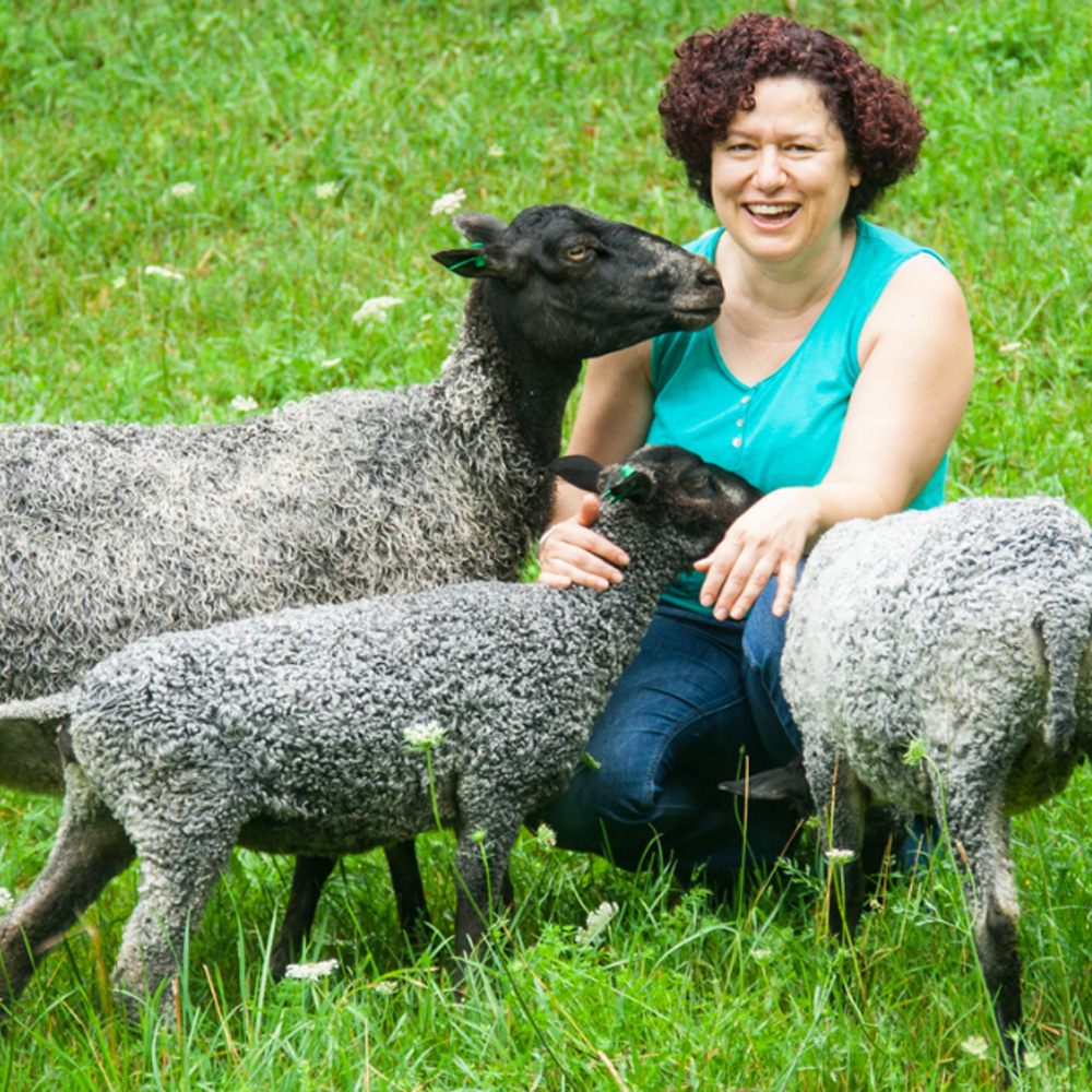 Farmstay vacations at vermont Grand View Farm