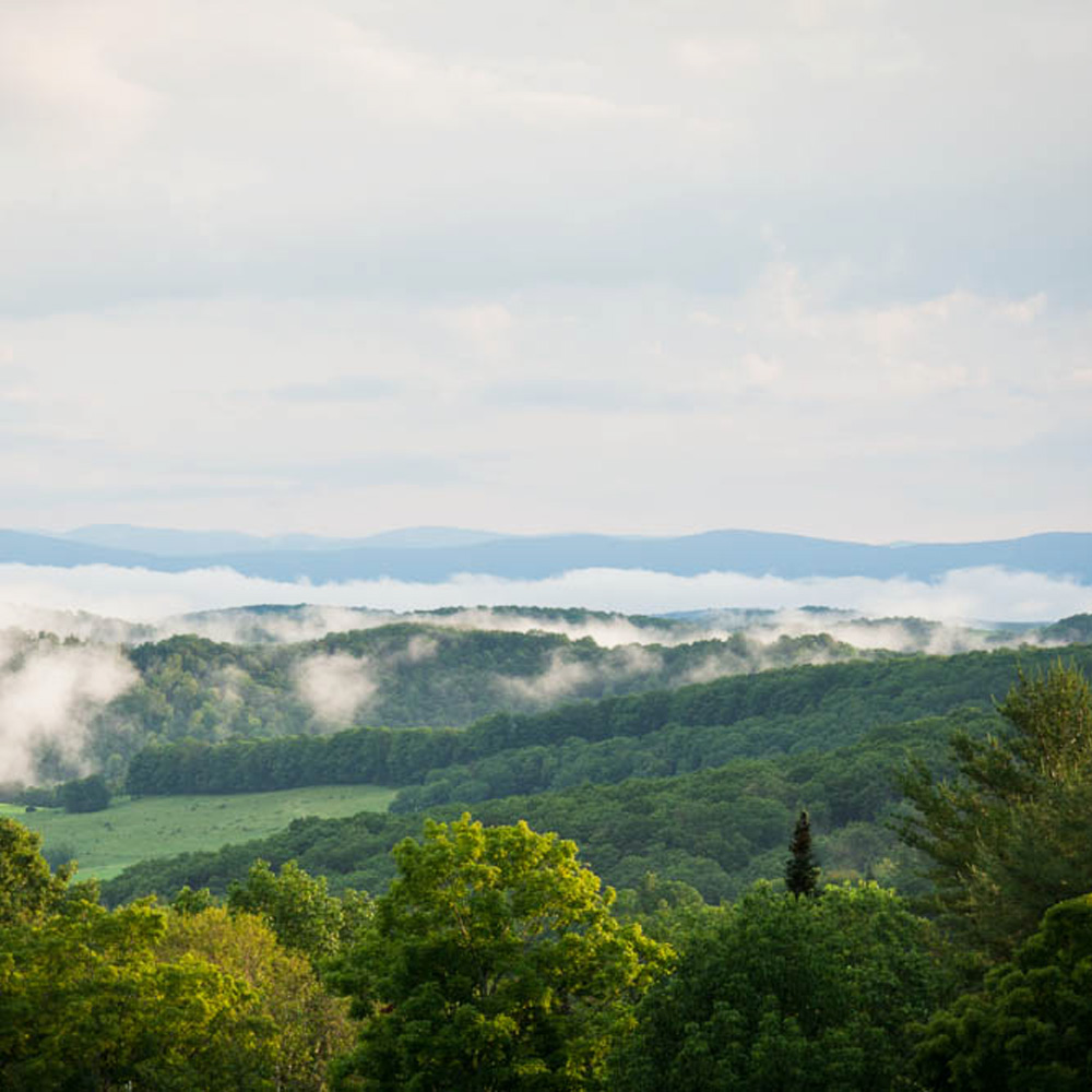 Stay in touch with Vermont Grand View Farm