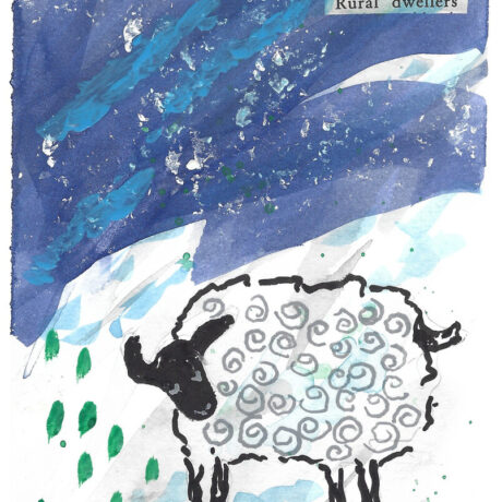 Winter Wind Sheep Print