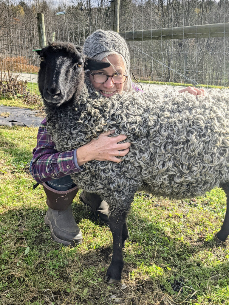 Gotland Embryo Lamb