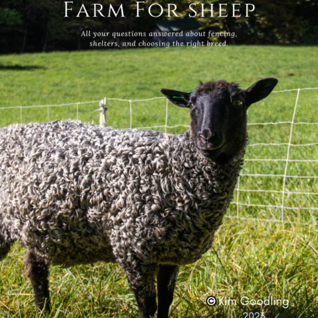 Preparing Your Farm For Sheep