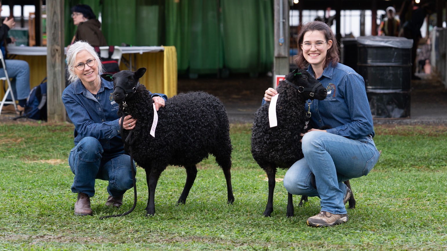 NY Sheep Show