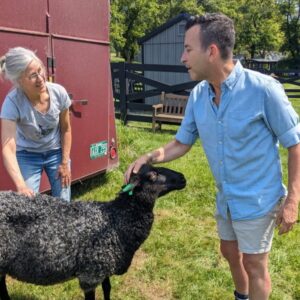 Consulting with shepherds